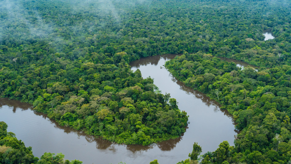 The Amazon River